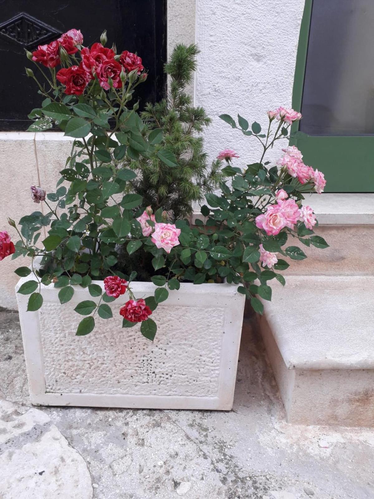 Le Chianche Βίλα Ceglie Messapica Εξωτερικό φωτογραφία